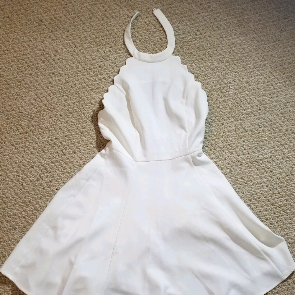 Lucyparis halterback dress